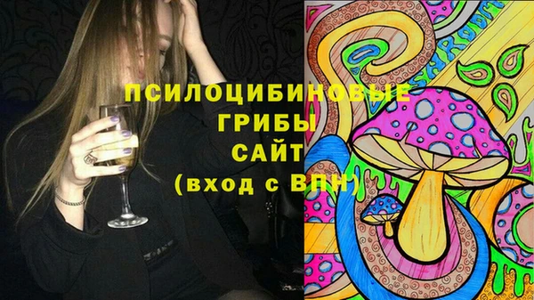 альфа пвп Алексеевка