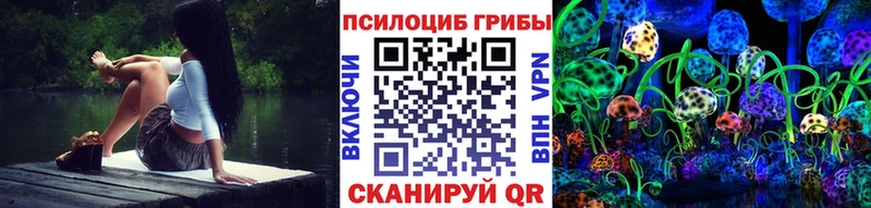 Псилоцибиновые грибы GOLDEN TEACHER  где найти наркотики  Заполярный 